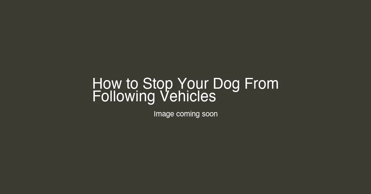 How to Stop Your Dog From Following Vehicles